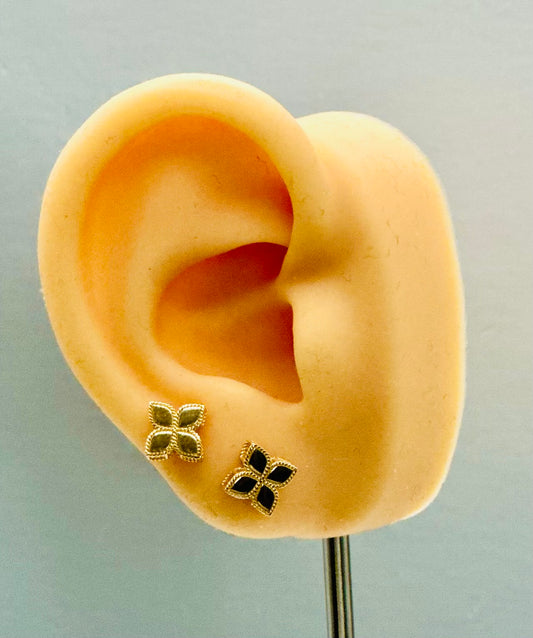 Roberto Coin earrings